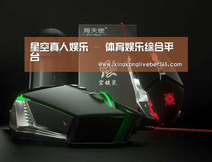 鼠标封面设计