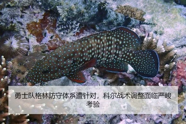 yong-shi-dui-ge-lin-fang-shou-ti-xi-zao-zhen-dui-ke-er-zhan-shu-tiao-zheng-mian-lin-yan-jun-kao-yan-3-533.jpg