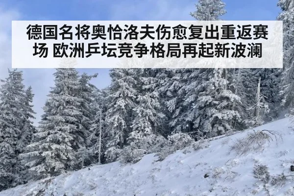 德国名将奥恰洛夫伤愈复出重返赛场 欧洲乒坛竞争格局再起新波澜