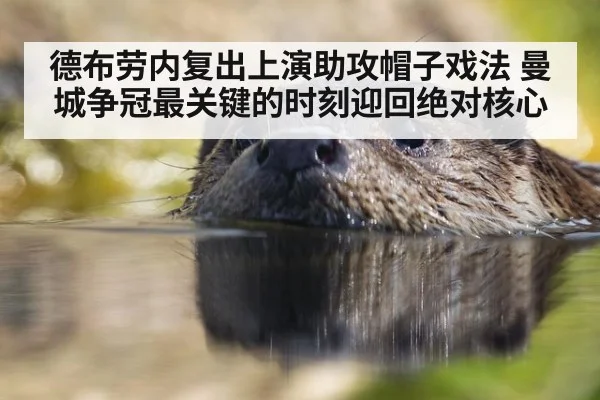 德布劳内复出上演助攻帽子戏法 曼城争冠最关键的时刻迎回绝对核心